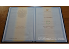 Диплом Бакалавр 2004-2009